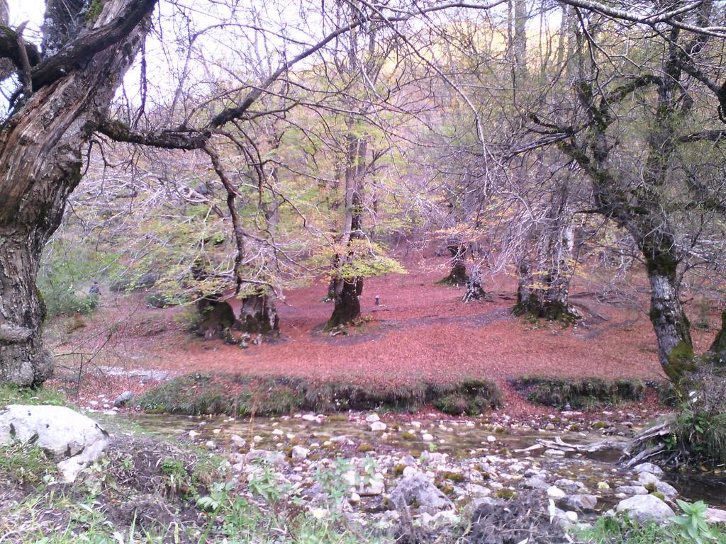 Europa Casa Vacanze Villetta Barrea Zimmer foto